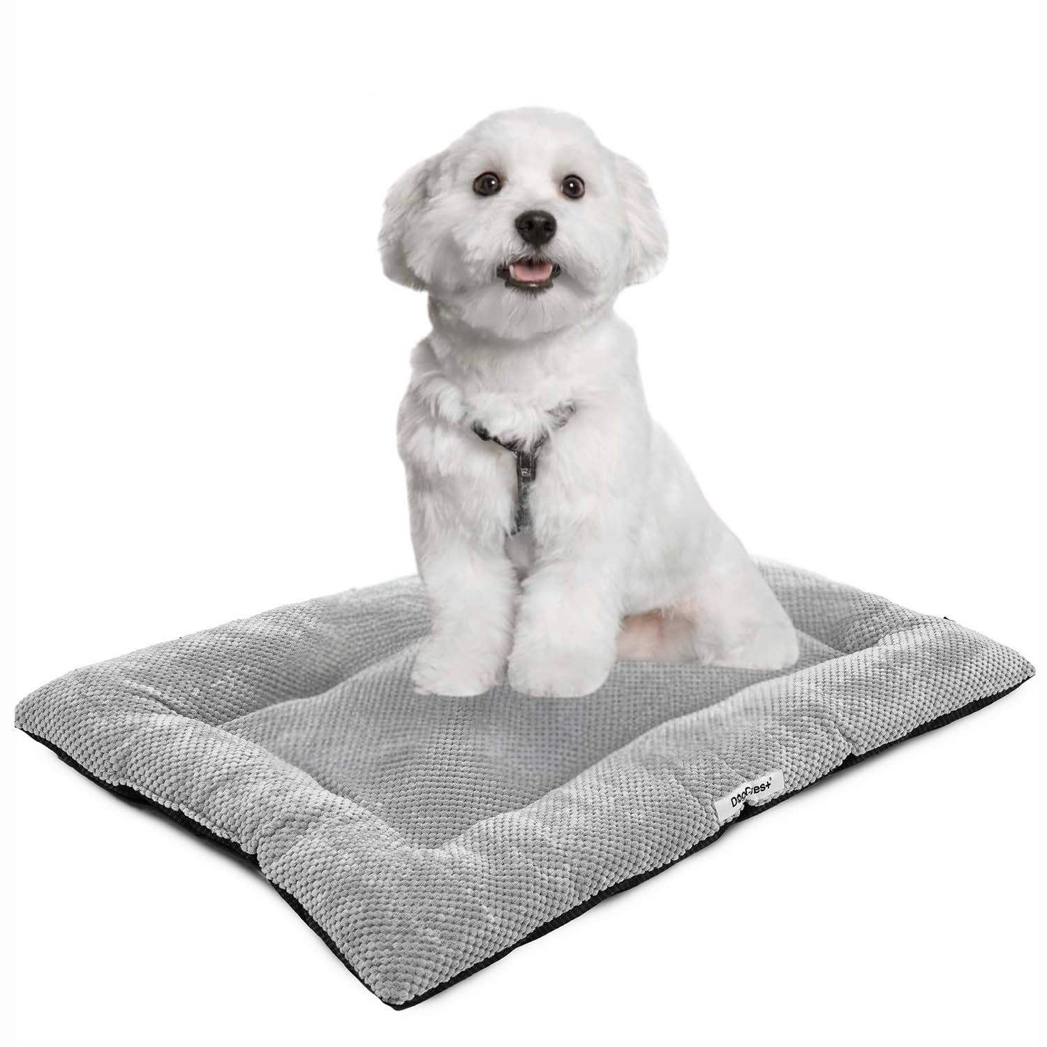 DogCrates+ Small Washable Dog Bed – Soft Comfortable Cushion Mat with Anti-Slip Bottom, Collapsible and Durable, Grey