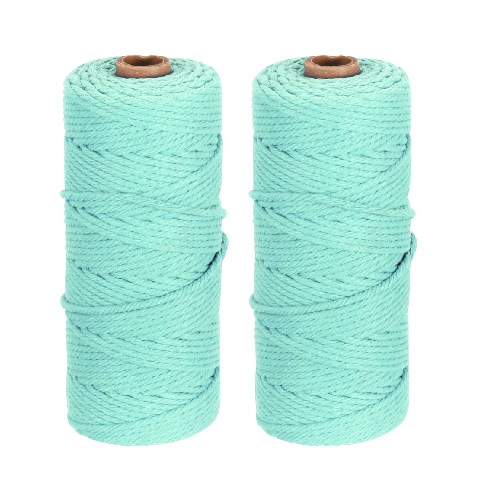 DMiotech 2 Pack 3mm x 100M (109 Yard) Light Blue Natural Cotton Macrame Rope, Wall Hanging Handmade 2 Strands Twisted Macrame Cotton Cord for Plant Hangers, Gift Wrapping Wedding