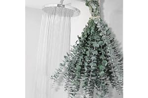 GIFUGI 12 PCS Dried Eucalyptus Stems for Shower - 17" Preserved Eucalyptus Stems Shower Plant, Fresh Real Eucalyptus Leaves for Shower Hanging, Home Decor, Dried Flowers