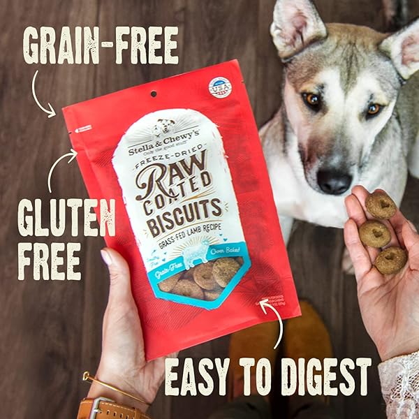 STELLA & CHEWY’S FREEZE-DRIED RAW COATED DOG BISCUITS – GRASS-FED LAMB RECIPE – PROTEIN RICH, GRAIN FREE DOG & PUPPY TREAT – GREAT SNACK FOR TRAINING & REWARDING – 9 OZ BAG