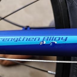 trinx mtb mens mountain bike review