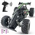 Blexy RC Cars Water-Resistant High Speed Remote Control Car 2.4GHz 2WD RC Truck 1/18 Remote Control Racing Toy Vehicle Fast H