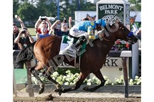 SPORTSPHOTOSUSA American Pharoah Belmont Stakes Triple Crown Winner 8x10 Photo