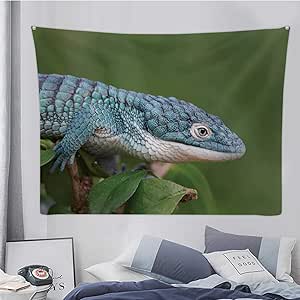 Amazon.com: Hitecera Blue Abronia (Mexican Alligator ...