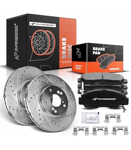 Transit 1〜9 The Role of Inactivation Methods in Shaping Postbiotic