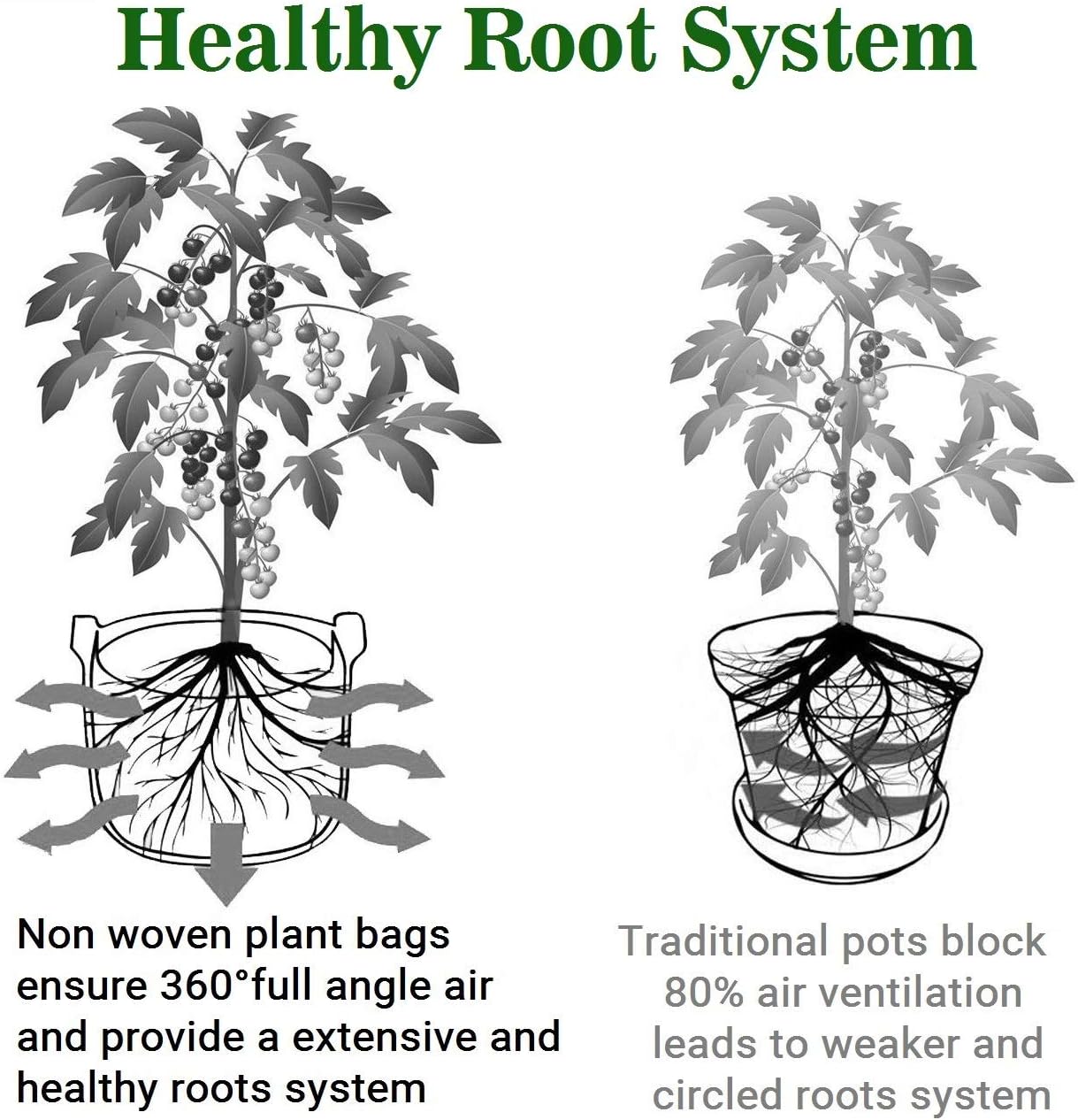 CARRYLAA Plant Bags Heavy Duty Thickened Nonwoven Grow Bags Aeration Fabric Garden Pots Container with Handles Straps for Flowers Vegetables 3 Gallons Black 5PCS - Image 3