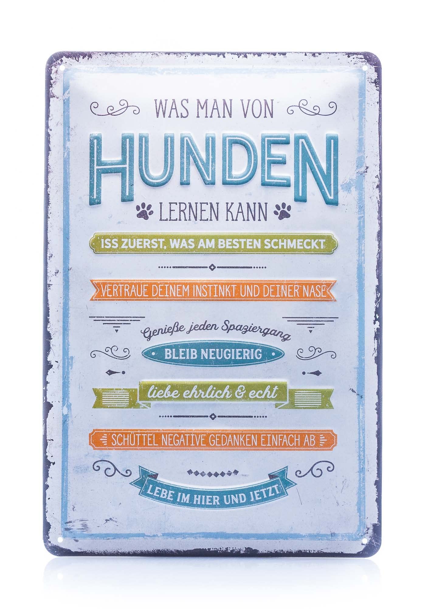 Nostalgic-Art Retro Tin Sign – Was man von Hunden lernen kann – Gift idea for dog owners, Metal Plaque, Vintage design for decoration, 20 x 30 cm
