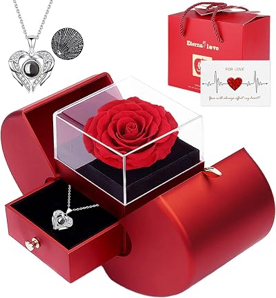 Firestyle Preserved Real Rose & I Love You Necklace Gift Set for Her