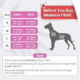 Belababy Dog Harness Small Medium Large No Pull Adjustable Reflective Front view 2