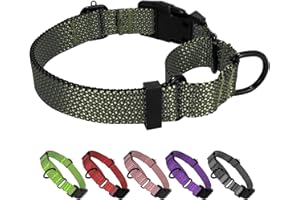 BXPAW Martingale Dog Collars Adjustable Training Martingale Collar for Dogs - Reflective No Pull Dog Collar with Quick Release Buckle (Army Green, Large)