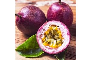 CARPET CREEPING 15+ Seed Passion Fruit Seeds for Planting Outdoor-Non-GMO Heirloom Sweet Fruit Plant in Your Home Garden