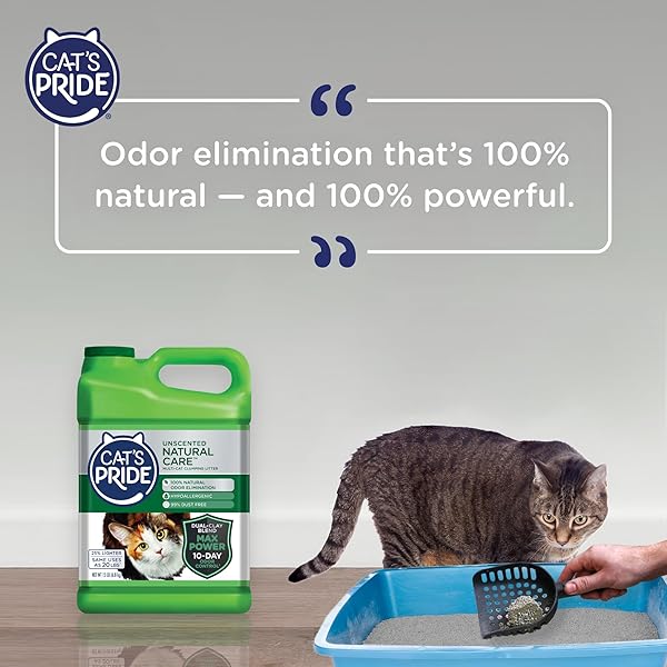 CAT’S PRIDE MAX POWER: NATURAL CARE – UP TO 10 DAYS OF POWERFUL ODOR CONTROL – 100% NATURAL ODOR ELIMINATION – HYPOALLERGENIC – 99% DUST FREE – MULTI-CAT CLUMPING LITTER, UNSCENTED, 15 POUNDS