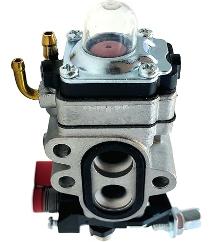Amazon.com: C·T·S Carburetor Gasket and Diaphragm Kit