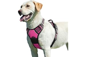 Eagloo Dog Harness No Pull, Walking Pet Harness with 2 Metal Rings and Handle, Adjustable Reflective Breathable Oxford Soft E