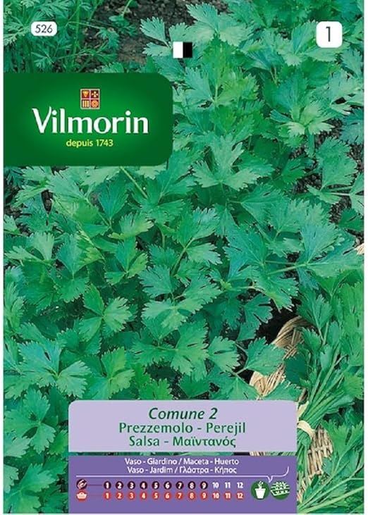 Semillas de PEREJIL COMUNE 2 Vilmorin - Sobre 14g: Amazon.es: Jardín