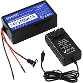 24V 5Ah Lithium Battery for Ride on Toys with 29.4V 1A Charger, 1 Pack | 5000mAh Capacity, Rechargeable, 2000+ Cycle, 20A BMS Protection, NCM Lithium, for 24V Devices and DIY Projects, Simple setup