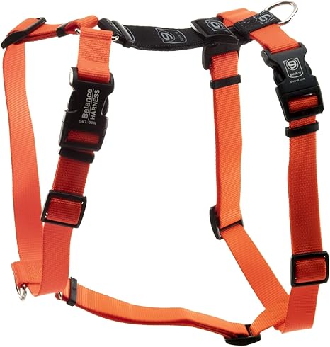 Dog harness with neck buckle Outlet
