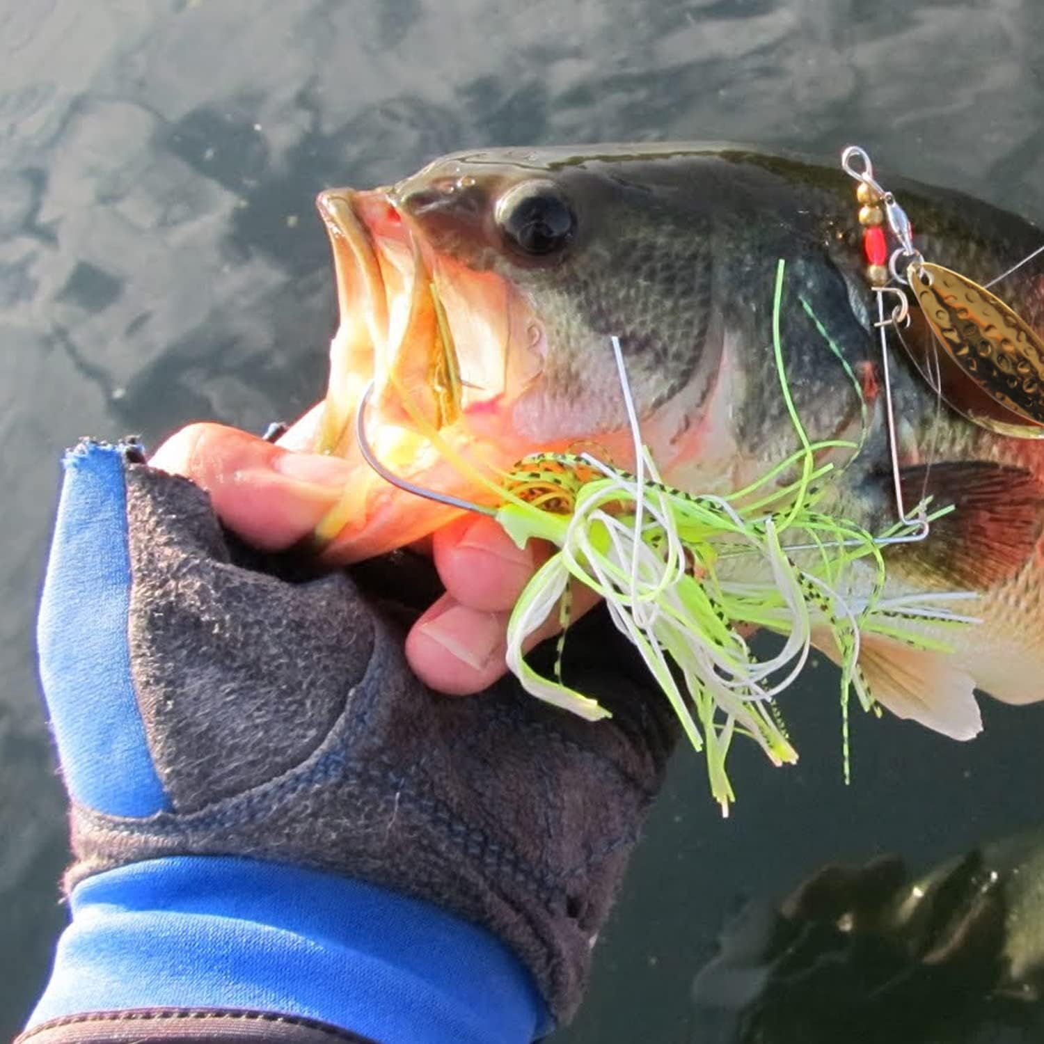 Fishing Lures Spinnerbait, 12pcs Bass Trout Salmon Walleye Hard Metal Spinner Baits Kit Jig Hooks Lures for Freshwater Saltwater Fishing : Sports & Outdoors