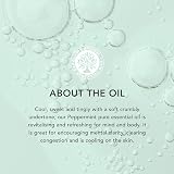 Tisserand Peppermint Organic Essential Oil 9ml Natural Vegan Diffuser view 3