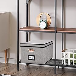 EOOUT File Organizer Box, 1pcs with Lid, Hanging