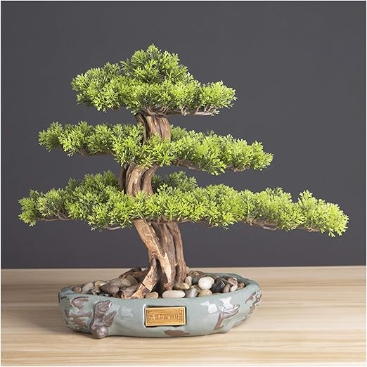 Artificial Plants Realistic Faux Bonsai Tree, Houseplant, Black Ceramic