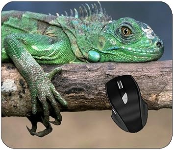 amazon reptile store