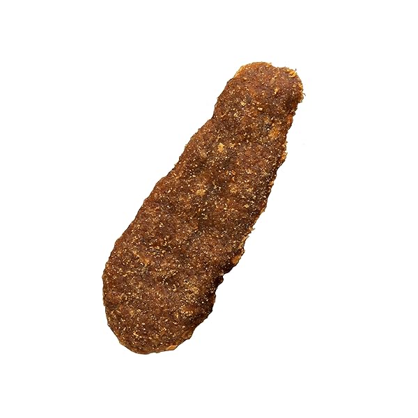 MERRICK SOFT DOG TREATS, SLOW COOKED BBQ CHICKEN DOG TREAT CHEWS, MEMPHIS STYLE GLAZED TENDERS – 10 OZ. POUCH