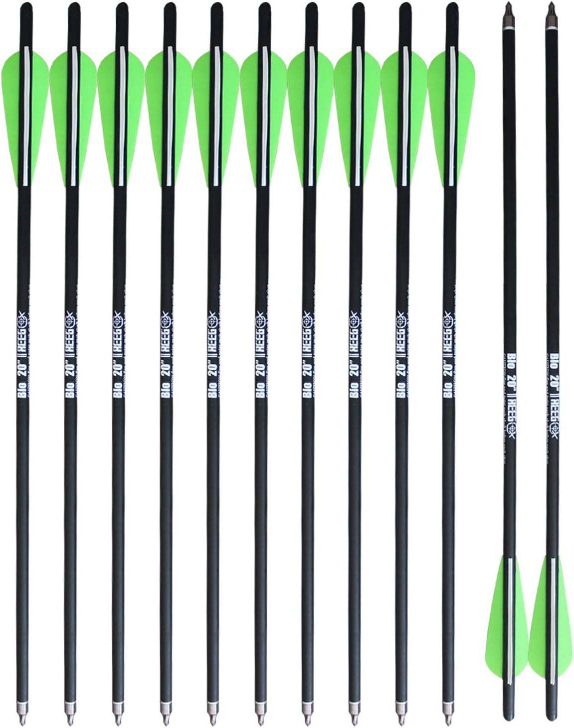 REEGOX 20 inch Crossbow Bolts Bio with 4-Inch Vanes(Pack of 12) : Sports & Outdoors