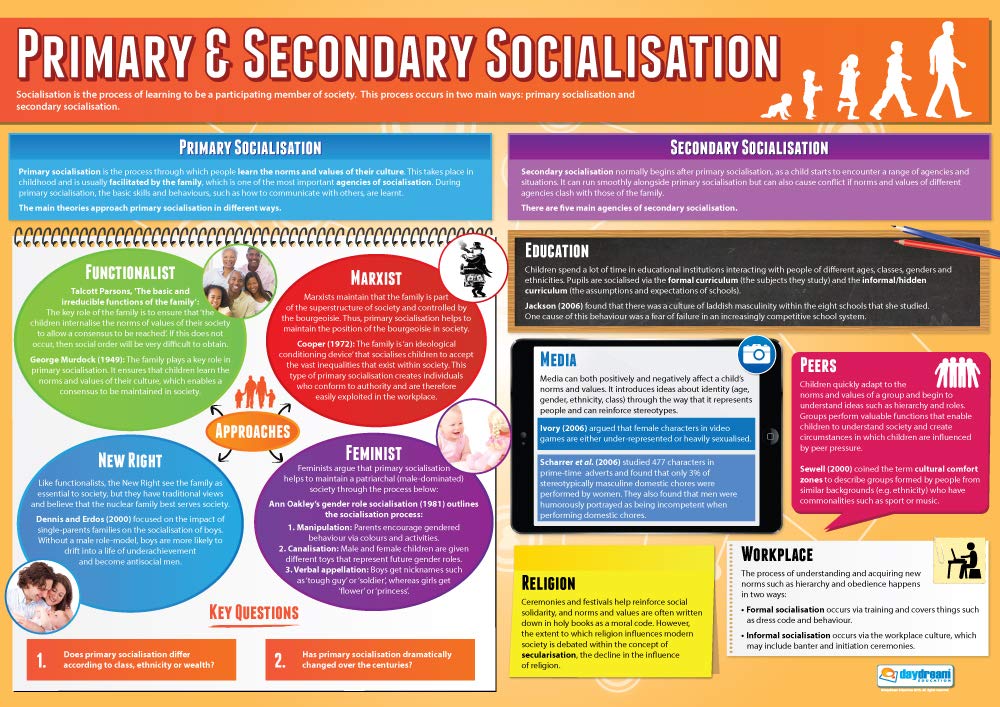 Daydream Education Primary & Secondary Socialisation | Sociology Posters | Laminated Gloss Paper measuring 850mm x 594mm (A1) | Sociology Class Posters | Education Charts