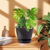 FORAGIFT 8 Pack Plant Pots Indoor 19/17.5/16.5/16/14/13/11.5/10cm Stripe Grooves view 5