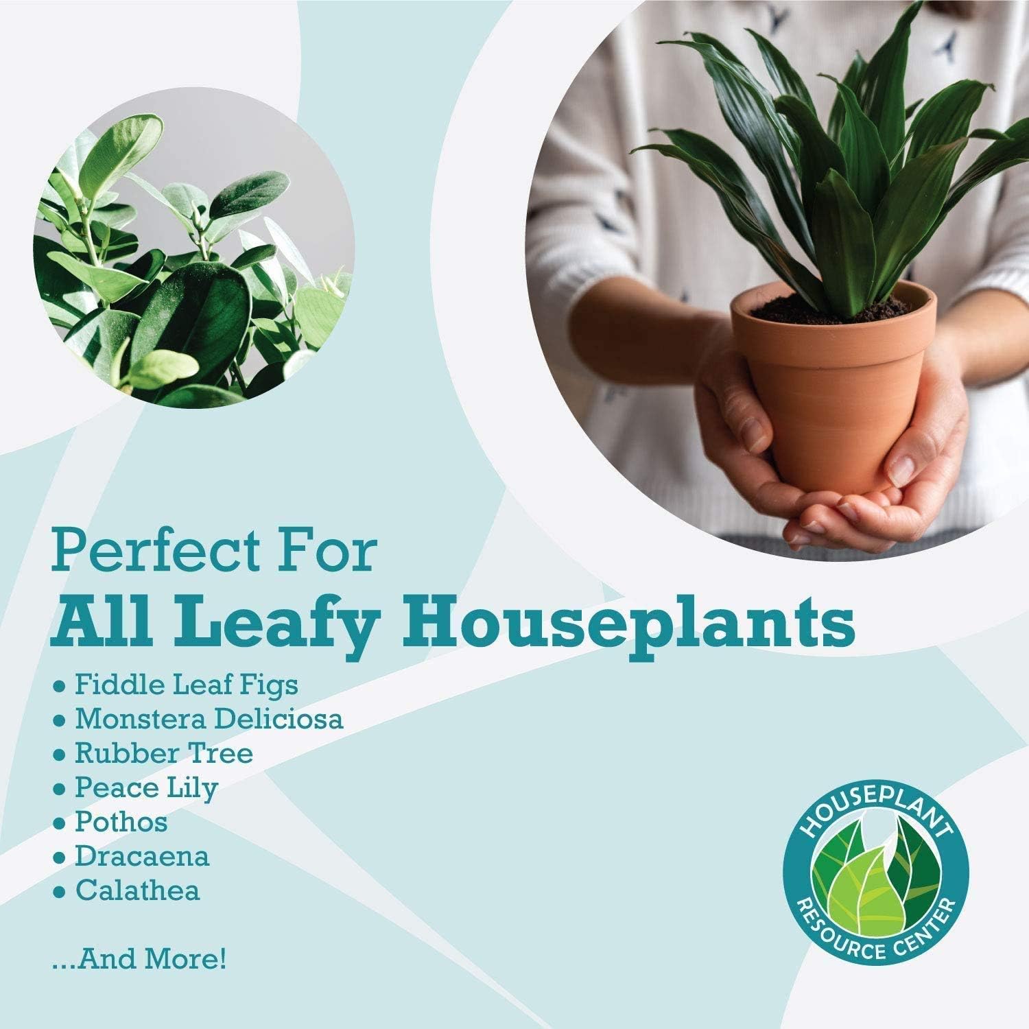 Leaf Armour by Houseplant Resource Center - Image 5