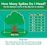 Miracle-Gro Tree & Shrub Plant Food Spikes 12-Count 15-5-10 NPK view 5