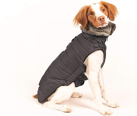 puffy dog jacket