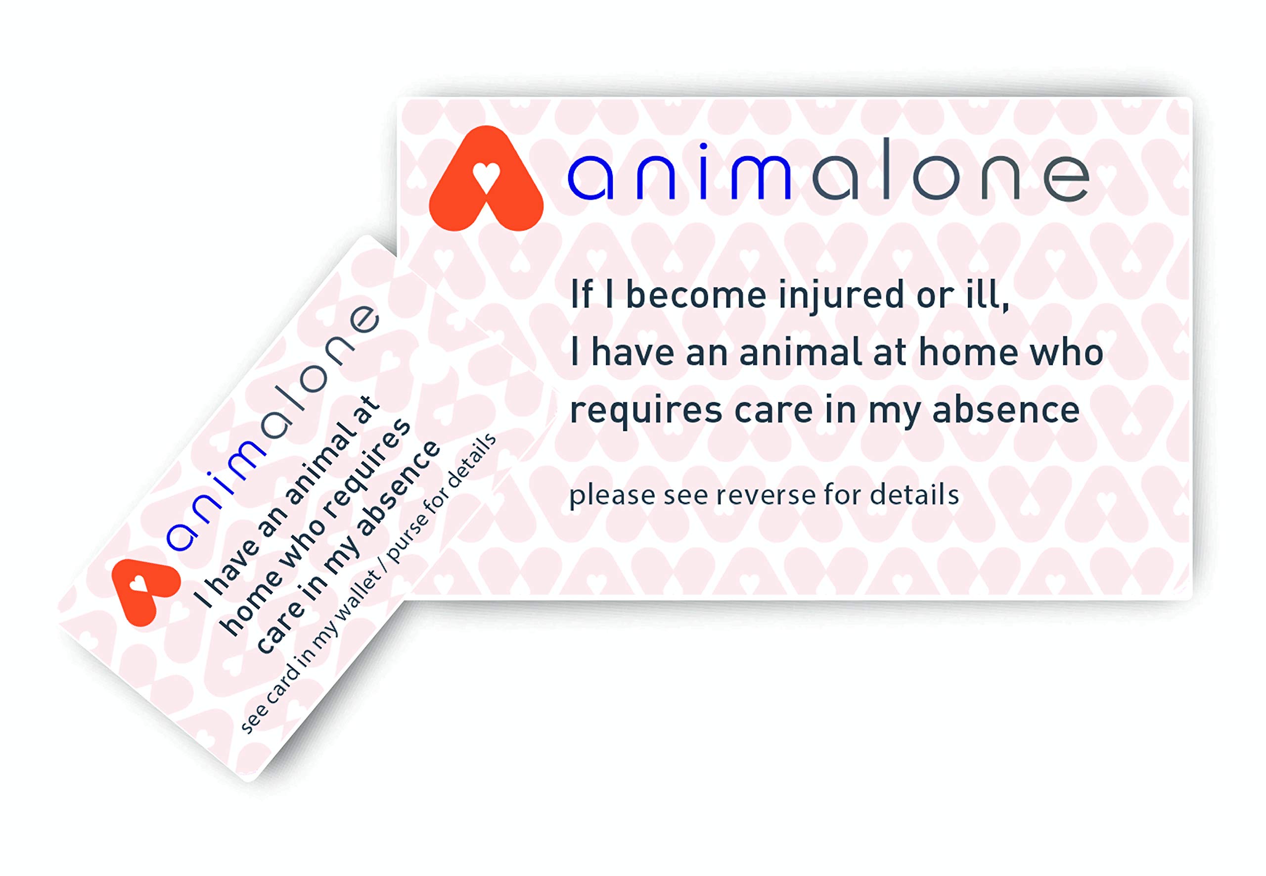 Pet Home Alone Card with Key Fob, choose from Green or Orange cards