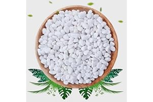 PUSCRIENO 5LB White Succulent and Cactus Gravel Pebbles - 1/5 Inch Natural Stones for Plants, Vases, Aquariums, Terrariums, and Outdoor Gardening