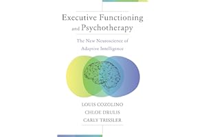 Executive Functioning and Psychotherapy: The New Neuroscience of Adaptive Intelligence (Norton Series on Interpersonal Neurob