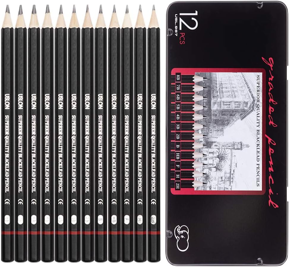 Professional Drawing Sketching Pencil Set - 12 Pieces Drawing Art Pencils (8B - 2H) Graphite Shading Pencils for Beginners & Pro Artists