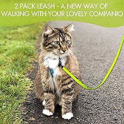 DOYOO 2 Pack Puppy Dog Leash Cat Leash, Strong and