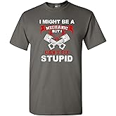 I Might Be A Mechanic But I Can't Fix Stupid Funny Humor DT Adult T-Shirt Tee (X Large, Charcoal)
