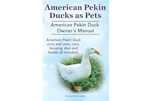 Pekin Ducks as Pets. American Pekin Duck Owner's Manual. American Pekin Duck pros and cons, care, housing, diet and health all included.