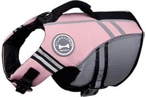 VIVAGLORY Sports Style Dog Life Jacket with Adjustable & Durable, Extra Flotation Swim Life Vest with Secure Fastening System for Small Dogs, Sakura Pink