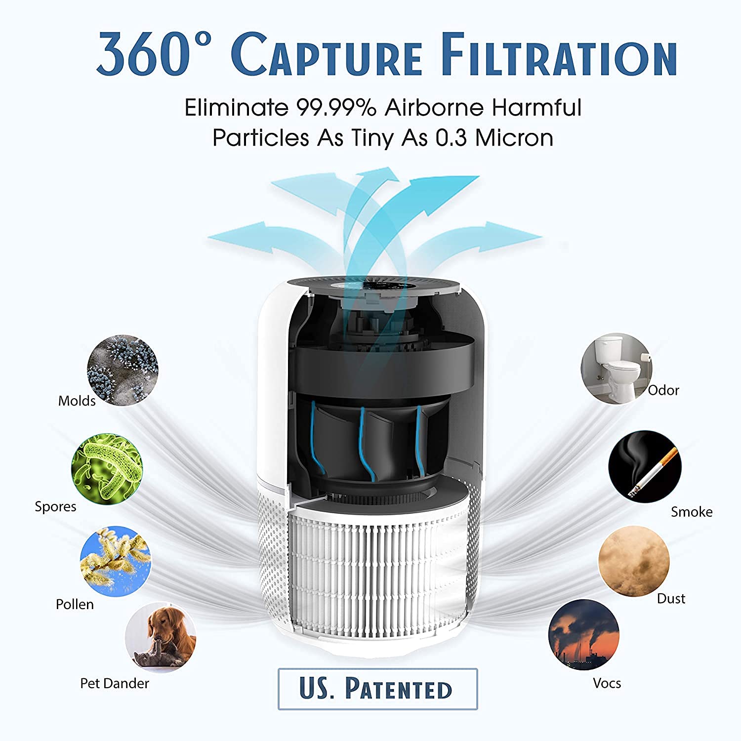 Tredy HEPA Air Purifier for Home 200 Sq.ft Large Room with Air Quality Sensor, Filters The Air, Removes Allergies/Molds/Dust/Smoke/Odor/Pollen/Pets Dander and Other Particles