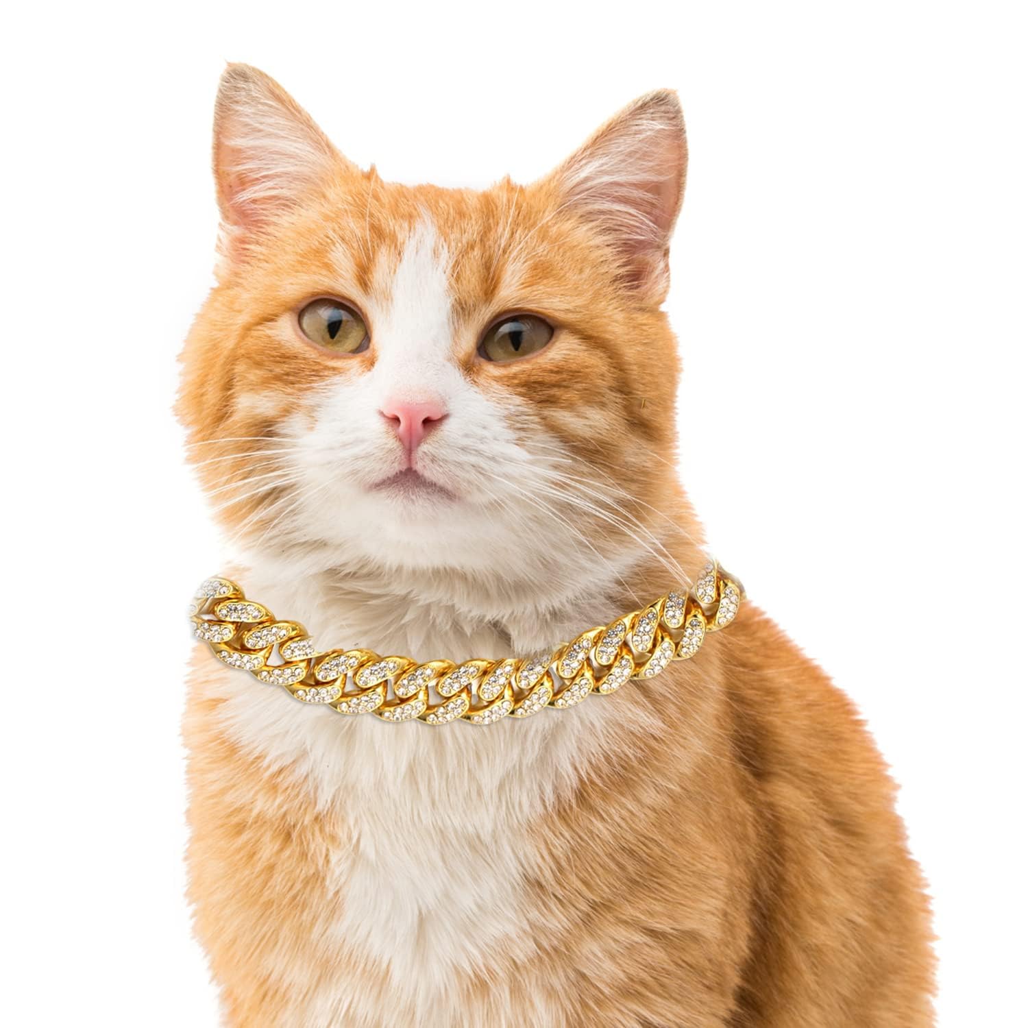 Halukakah Cat Collar - Carat - Iced Out Diamond Cuban Link Gold Chain for Cats & Kittens - 18k Real Gold Plated 30cm Collar Size - for Decoration Only - Get Your Cat Catwalk Ready