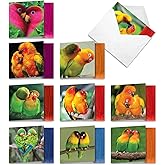 The Best Card Company - 10 Blank Heart Note Cards Boxed (4 x 5.12 Inch) - All Occasion Heartfelt Love Card Assortment - Love Birds MQ4628OCB-B1x10