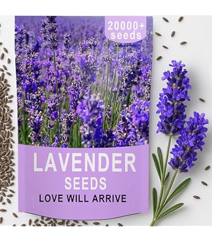 wildflower seed in bulk Bulk All Perennial Wildflower Seed Mix