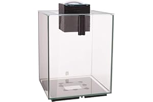 Fluval Chi II Series Aquarium Set, 5-Gallon - Aquarium Tank with Ambient LED Lighting, Flowing Water, and Elegant Design, White