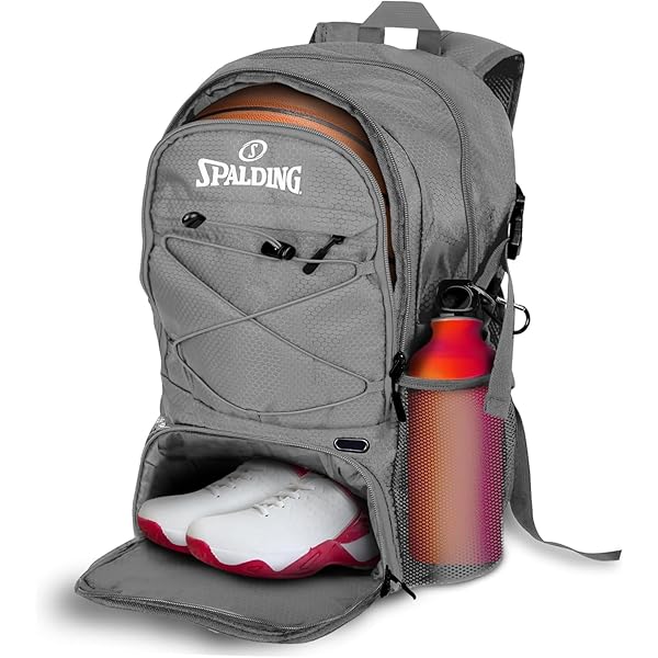 Amazon.com | KXKS. (Kicks Kase Premium Sneaker & Travel Backpack