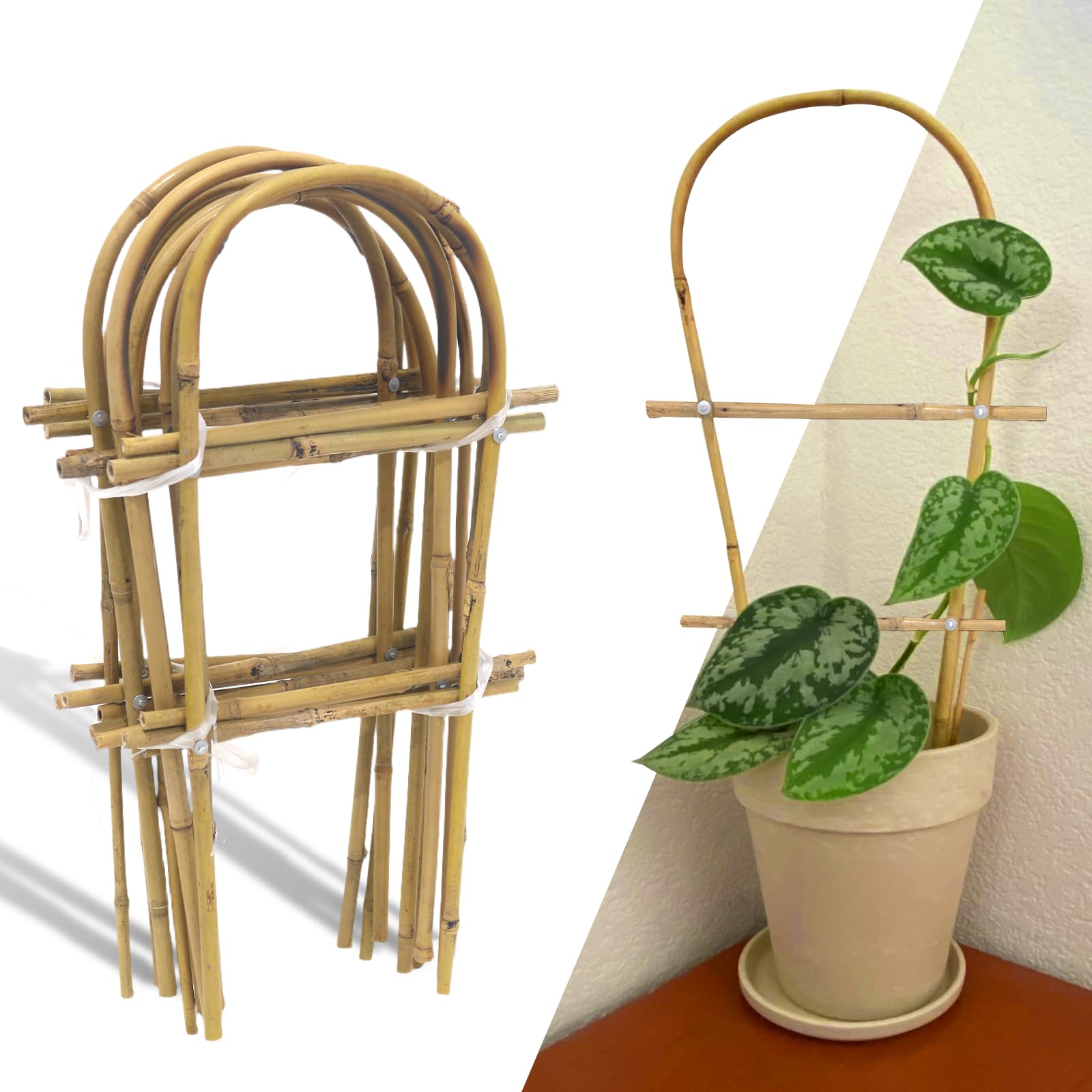 Photo 1 of 10 Pack 15.7“ U-Shape Bamboo Trellis for Climbing Plants, Natural Garden Trellis for Tomatoes, Cucumbers, Potted Plants, Vegetables Indoor Outdoor