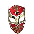 Del Mex Lucha Libre Adult Luchador Mexican Wrestling Mask Costume