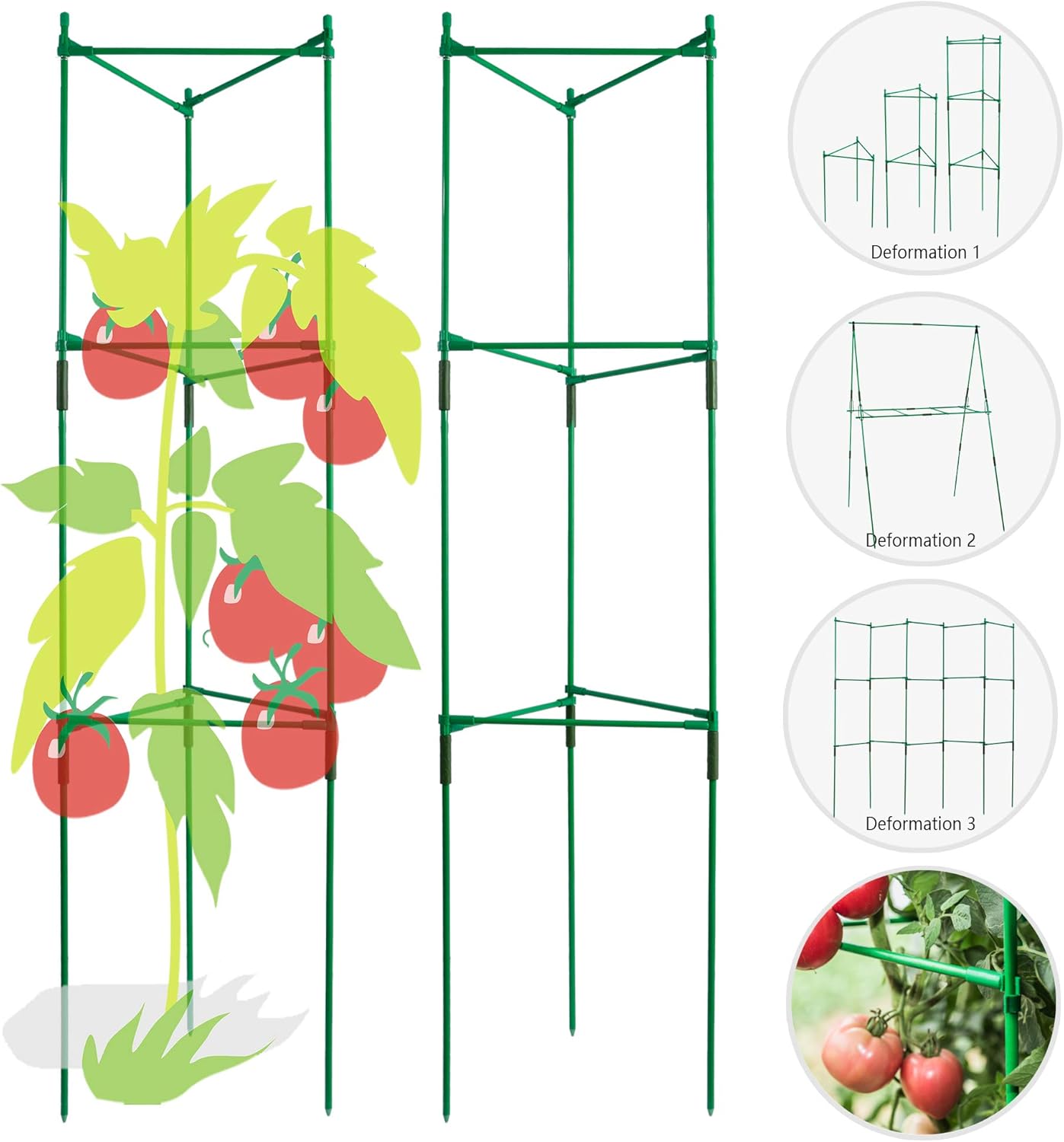 Best Garden Bed With Tomato Cage